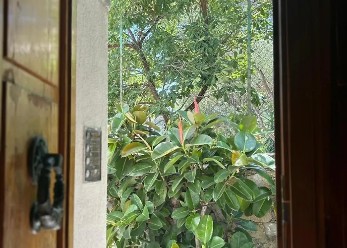 Le Finestre Veneris
