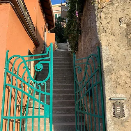 Le Finestre Veneris *